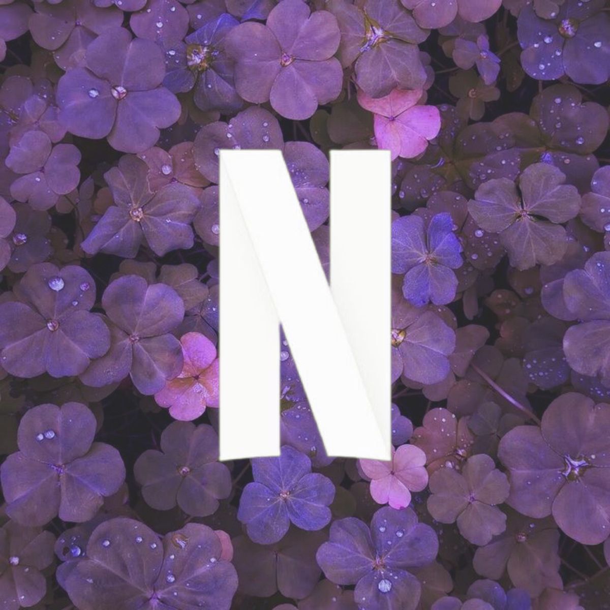netflixicon