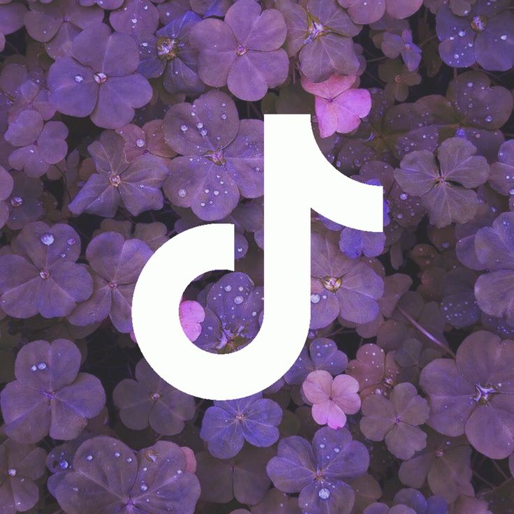 tiktok1